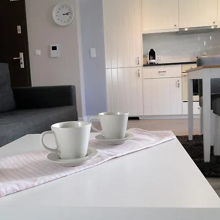 公寓 Apartament Malczewskiego